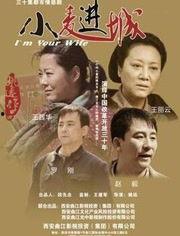 小麦进城电视剧全集在线观看34集,情感纠葛与成长蜕变